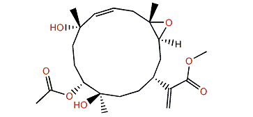 Querciformolide E